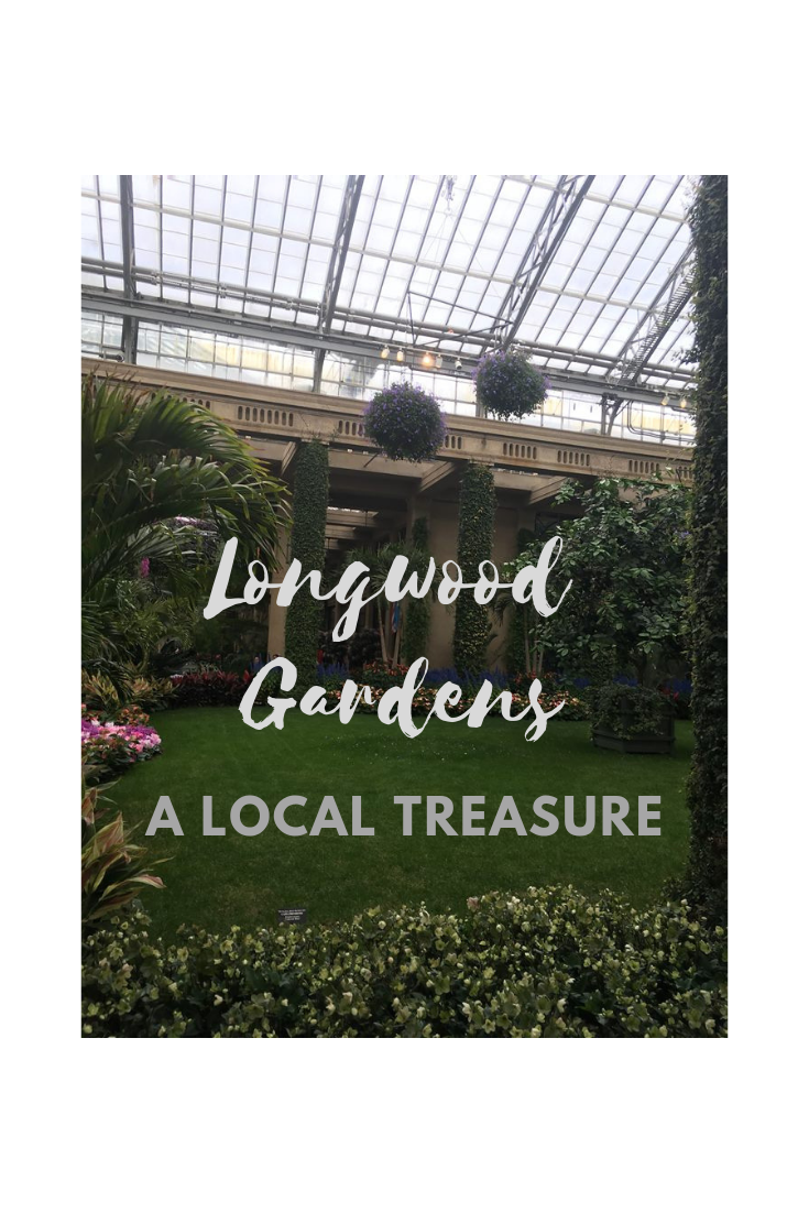 Read more about the article Longwood Gardens: A local treasure