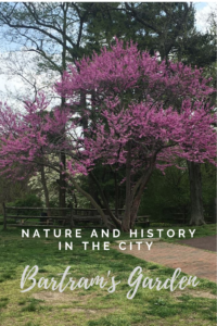Read more about the article Nature and history in the city – Bartram’s Garden