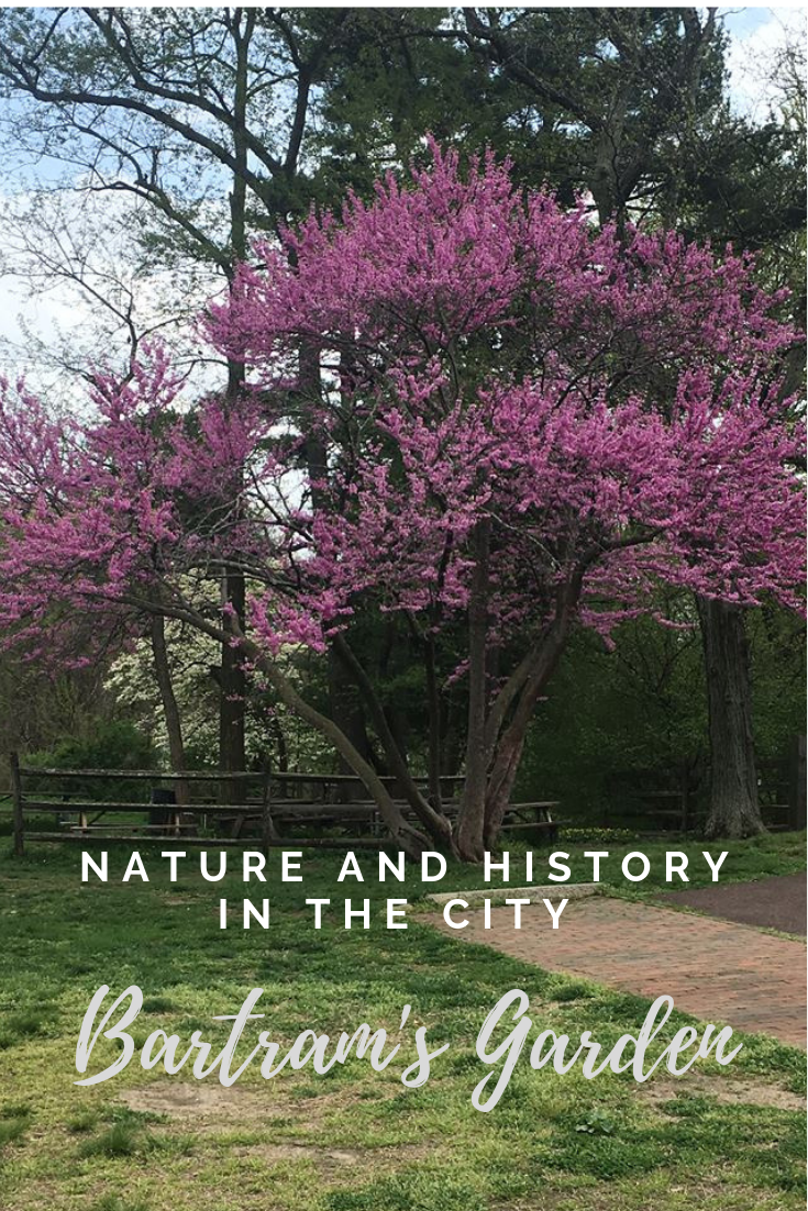 You are currently viewing Nature and history in the city – Bartram’s Garden