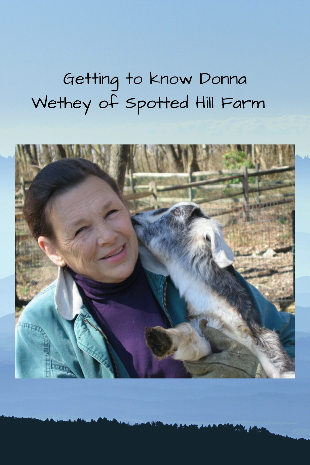 Read more about the article Getting to know Donna Wethey of Spotted Hill Farm