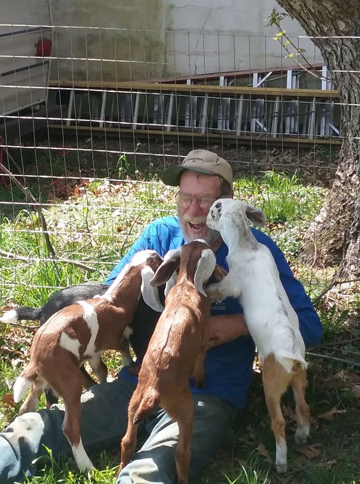 Guy and the Goats